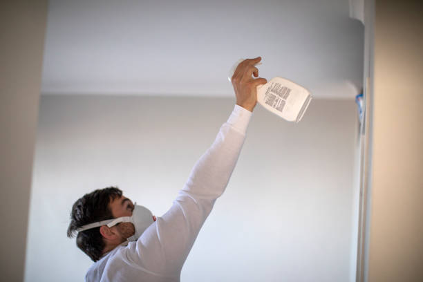 Best Mold Removal Company Near Me  in Wales, WI