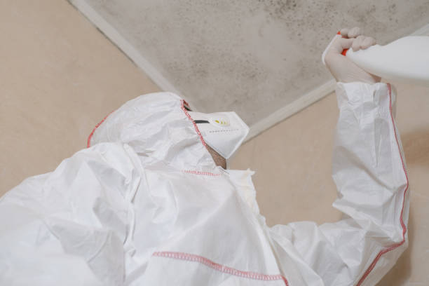 Attic Mold Removal in Wales, WI