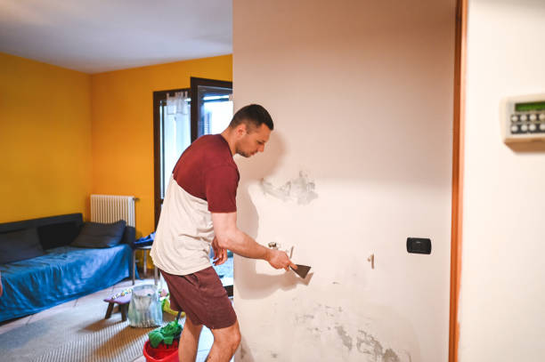Best Best Mold Removal Companies  in Wales, WI
